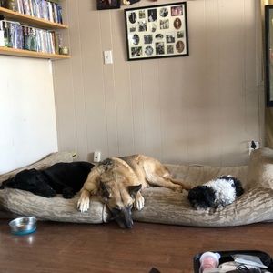 Meet your Posher, Diane